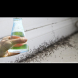 Само ЕДНА капка и мравките изчезват веднага! Най-ефективният домашен трик (без да ги убива):