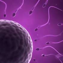 6 неочаквани причини за женския стерилитет