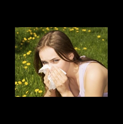 Митовете за алергиите, които трябва незабавно да бъдат забравени
