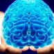Тест - лявата или дясната ви страна от мозъка е по-активна? - Видео