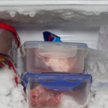 Образува ли се лед във вашия фризер? Добавете един хранителен продукт, няма да се повтори!