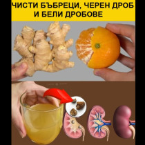 Чисти бъбреци, черен дроб и бели дробове! Убиец на бактерии: Цялата мръсотия излиза навън!