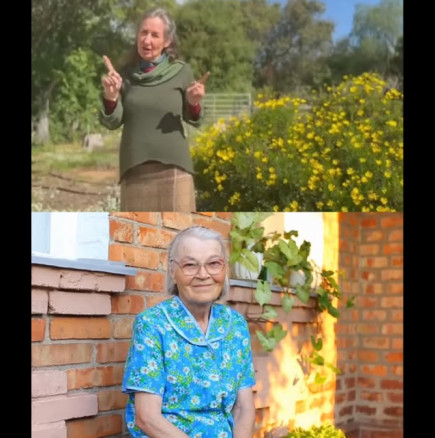 За корем, плосък като дъска, и след 50 г: Само 1 чаша всяка сутрин в продължение на 10 дни