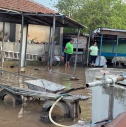 Български села под вода след потопа вчера-Ако пак завали, свършено е с тях!-Снимки и видео