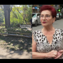 Съпругата на загиналия от паднал клон мъж в Пловдив: Съпругът ми беше убит!