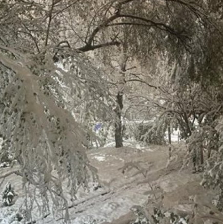 Първи сняг заваля на Балканите