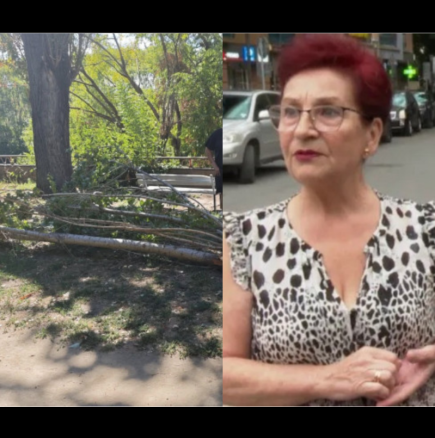 Съпругата на загиналия от паднал клон мъж в Пловдив: Съпругът ми беше убит!