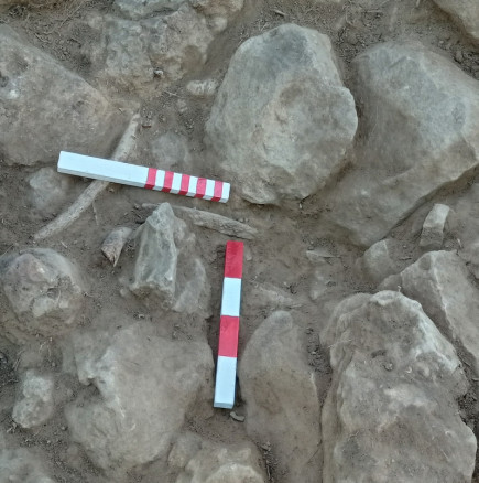 Ето в кое българско село откриха безценно златно съкровище!