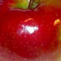 Ябълкова диета 3кг за една седмица