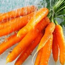 Бърза и лесна диета с моркови-отслабване  с 3-4 кг за 4 дни