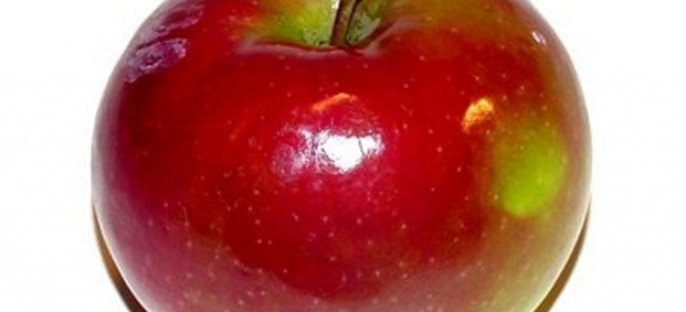 Ябълкова диета 3кг за една седмица