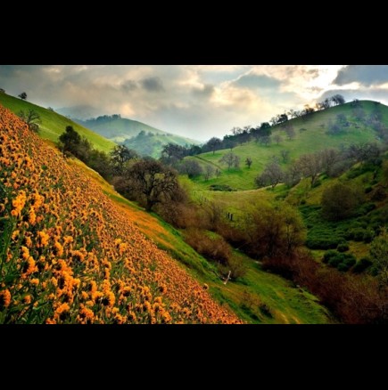 Най-красивата долина: Долината на цветята