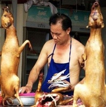 Китайски ресторант предлага пълнено куче!