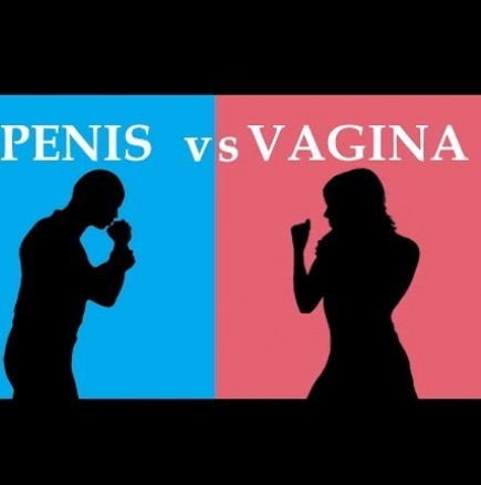Вечната война: Пенис или вагина