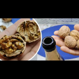 Ако не го бях видяла с очите си, нямаше да повярвам! Ето как да извадите цели ядките на ореха САМО с бутилка (стар руски трик)