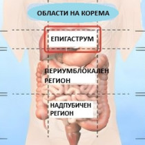 Карта на коремната болка: Заболявания, които могат да бъдат идентифицирани по местоположение на болката