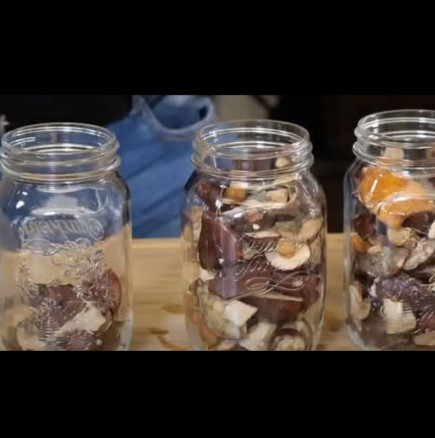 ГЪБИТЕ НИКОГА НЕ СА ИМАЛИ ПО-ДОБЪР ВКУС! Вместо да ги сушите и замразявате, просто ги сложете в буркани!