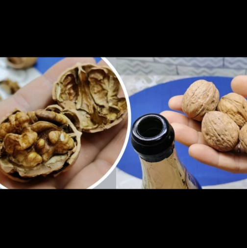 Ако не го бях видяла с очите си, нямаше да повярвам! Ето как да извадите цели ядките на ореха САМО с бутилка (стар руски трик)