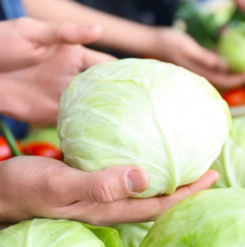 Кога да слагаме киселото зеле-Ако направите това, зелето ще е твърдо, а саламурата бистра през цялата зима!