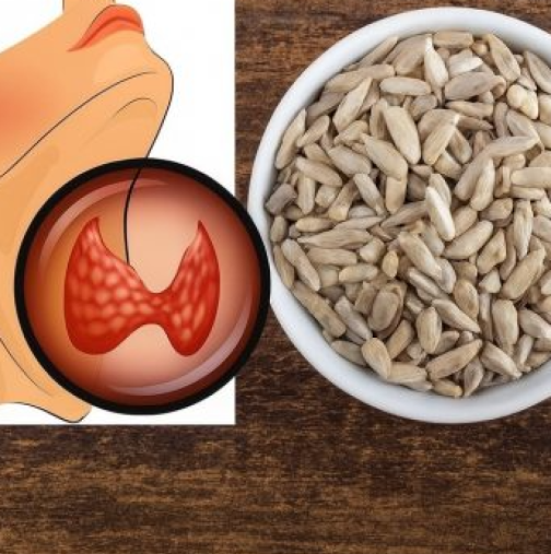 Слънчогледовите семки прочистват кръвоносните съдове и дебелото черво и подхранват мозъка