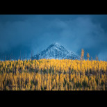 Хороскоп за днес, 21 ноември: Близнаци - предателство, Водолей - голяма печалба