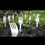 Защо трябва да „засадите“ пластмасови вилици в градината тази зима? Необичаен трик ще ви реши голям проблем: