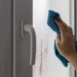 Прозорците ми бяха мокри цяла зима: сложих това на перваза, сега са напълно сухи!