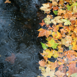 Хороскоп за седмицата от 24 до 30 ноември 2025 г.