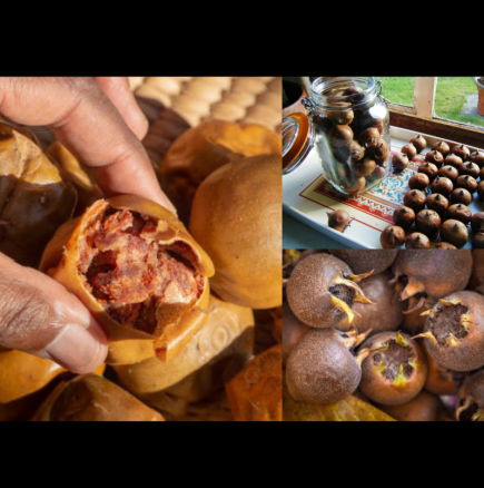 Подминавате този неугледен плод на пазара, но той предпазва мозъка, помага при анемия и укрепва имунната система! ЛЕЧЕБНИ рецепти: