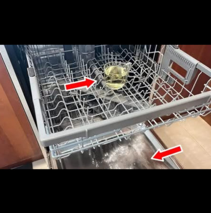 Как да обезмаслите, дезинфекцирате и дезодорирате съдомиялната с ЕДНА чаша! Просто, евтино и резултатът е видим веднага