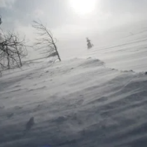 Meteo Balkans алармира: Сняг и вихрушки се задават насам