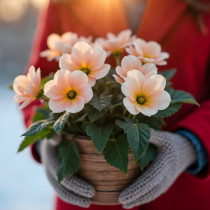 Големият месечен хороскоп за декември 2025