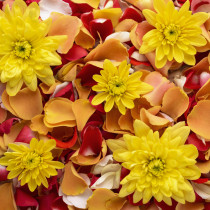 РАК, получавате подкрепа, която сте очаквали дълго. КОЗИРОГ, денят води до важни решения! - Дневен хороскоп за 29 ноември