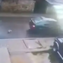 Нов случай, в който шофьор уби малко кученце на пътя