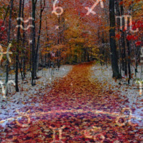 Месечен хороскоп за ноември 2025 г.