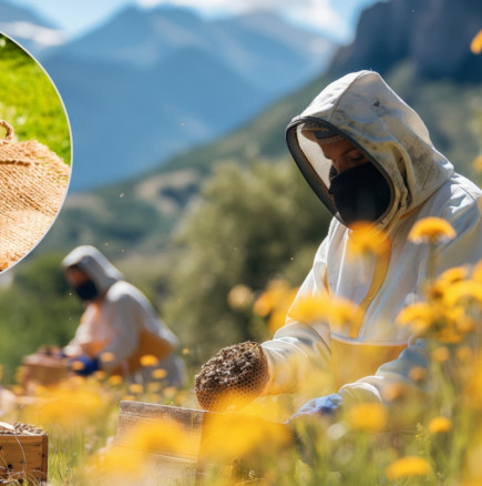 Чували ли сте за „луд мед“? Той има опияняваща миризма, понижава кръвното налягане и може да се купи само на две места.