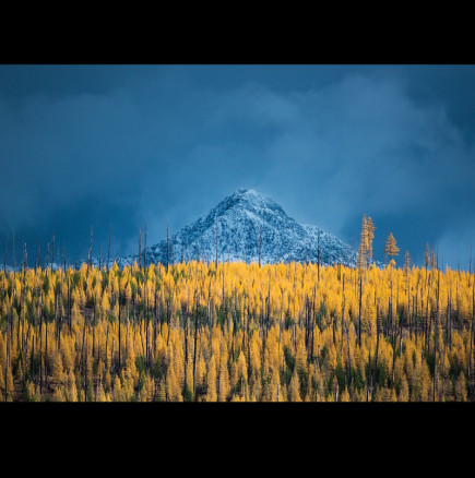 Хороскоп за днес, 21 ноември: Близнаци - предателство, Водолей - голяма печалба