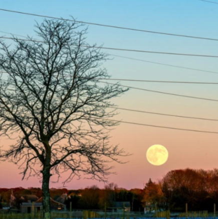 Внимание! Суперлуната на бобрите на 5 ноември ще удари брутално тези 4 зодии