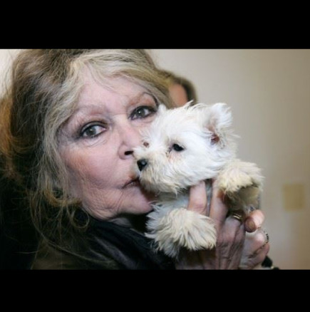 „Щях да бъда по-щастлива, ако бях родила куче, а не него“: Най-красивата актриса сравни бременността си с болест и всичко й се върна!