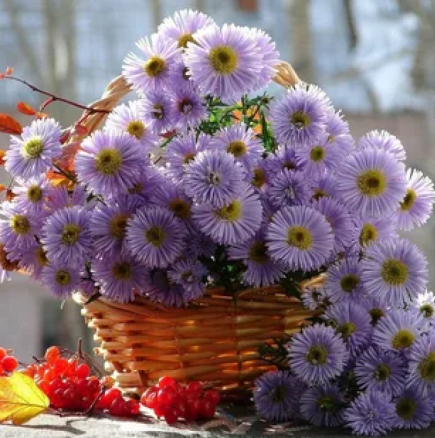 ТЕЛЕЦ, финансови въпроси се подреждат по-добре! ЛЪВ, отварят се нови възможности - Дневен хороскоп за 30 ноември