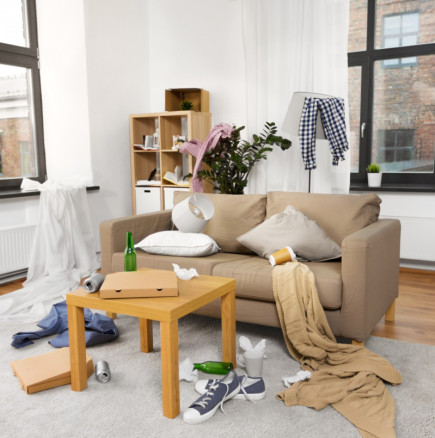 „Ако има бъркотия в къщата ви, ето какво говори това за вас“: Състоянието на дома ни влияе върху мозъка и душевния ни мир