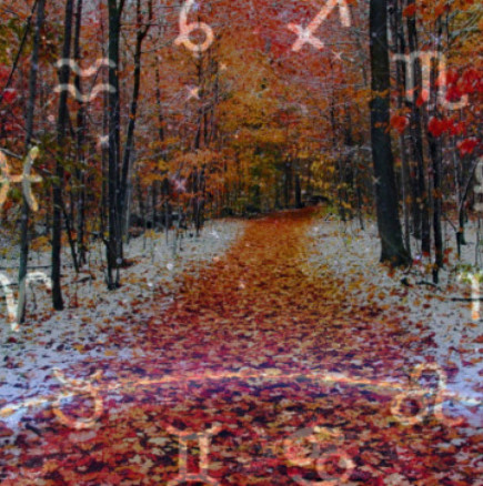 Месечен хороскоп за ноември 2025 г.