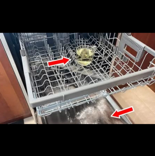 Как да обезмаслите, дезинфекцирате и дезодорирате съдомиялната с ЕДНА чаша! Просто, евтино и резултатът е видим веднага