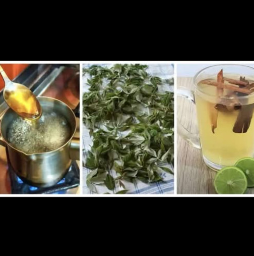 Канелата убива вируси, хрянът почиства белите дробове, а оцетът лекува гърлото: 13 естествени антибиотика, които ги няма в аптеките!