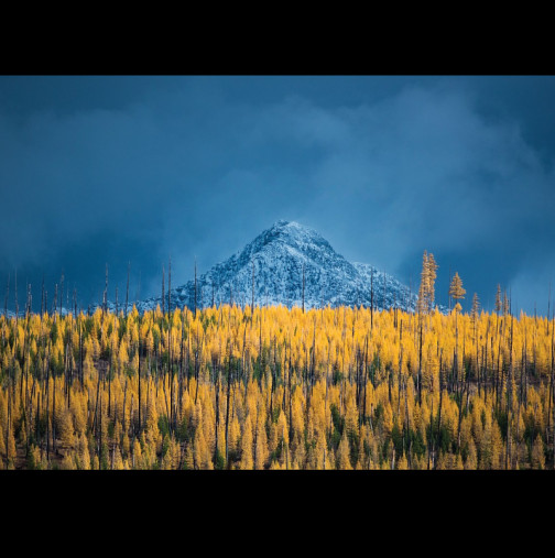 Хороскоп за днес, 21 ноември: Близнаци - предателство, Водолей - голяма печалба