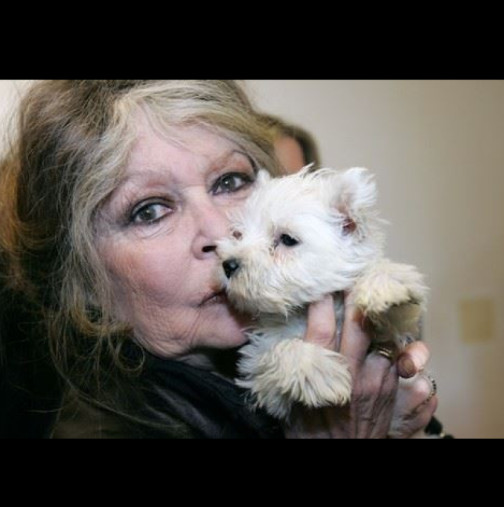 „Щях да бъда по-щастлива, ако бях родила куче, а не него“: Най-красивата актриса сравни бременността си с болест и всичко й се върна!