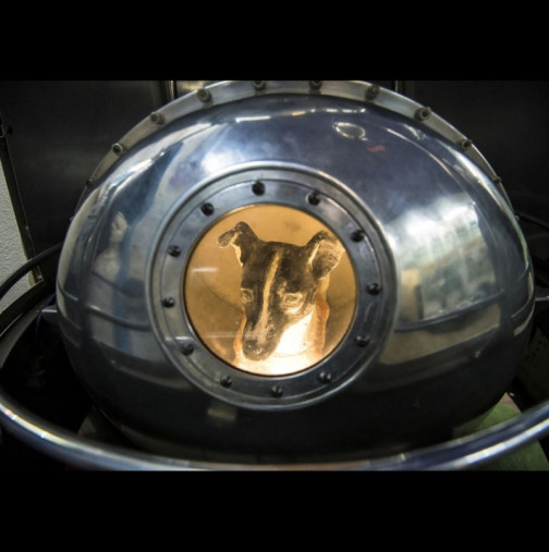 Тайната се пазеше десетилетия, но никой не очакваше подобна истина! Ето колко часа ВСЪЩНОСТ кучето Лайка прекара в Космоса: