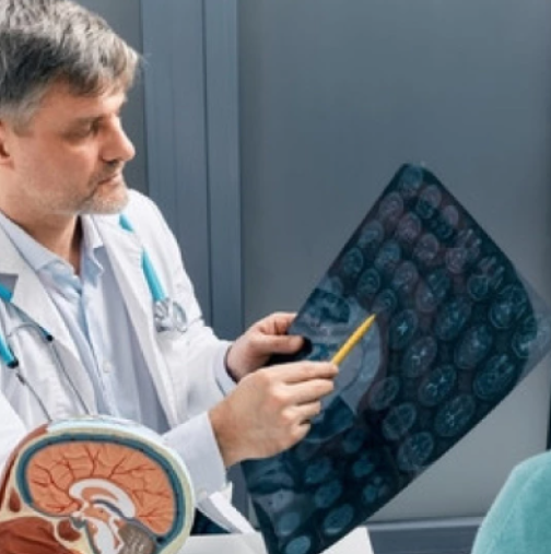 Уважаван лекар разкри най-добрата храна за мозъка: „Помнете това всеки ден“