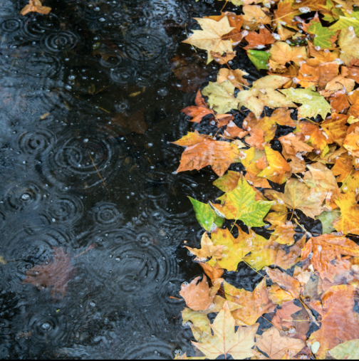 Хороскоп за седмицата от 24 до 30 ноември 2025 г.