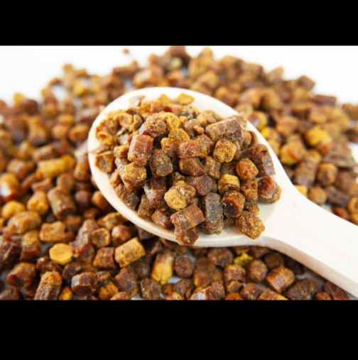 Не е нито медът, нито пчелното млечице: Ето кой е най-ценният продукт, който пчелите приготвят в кошера